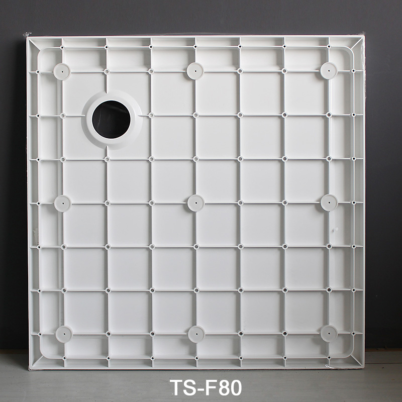 TS-F80